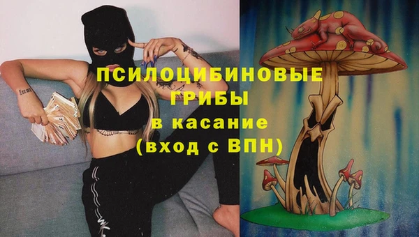 СК Калининец