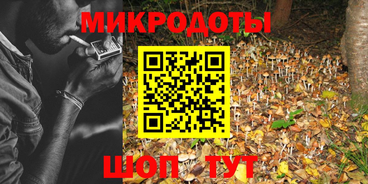 Псилоцибиновые грибы мицелий Серпухов