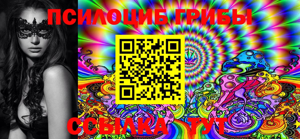 Галлюциногенные грибы Psilocybine cubensis  Вход с VPN  Серпухов 