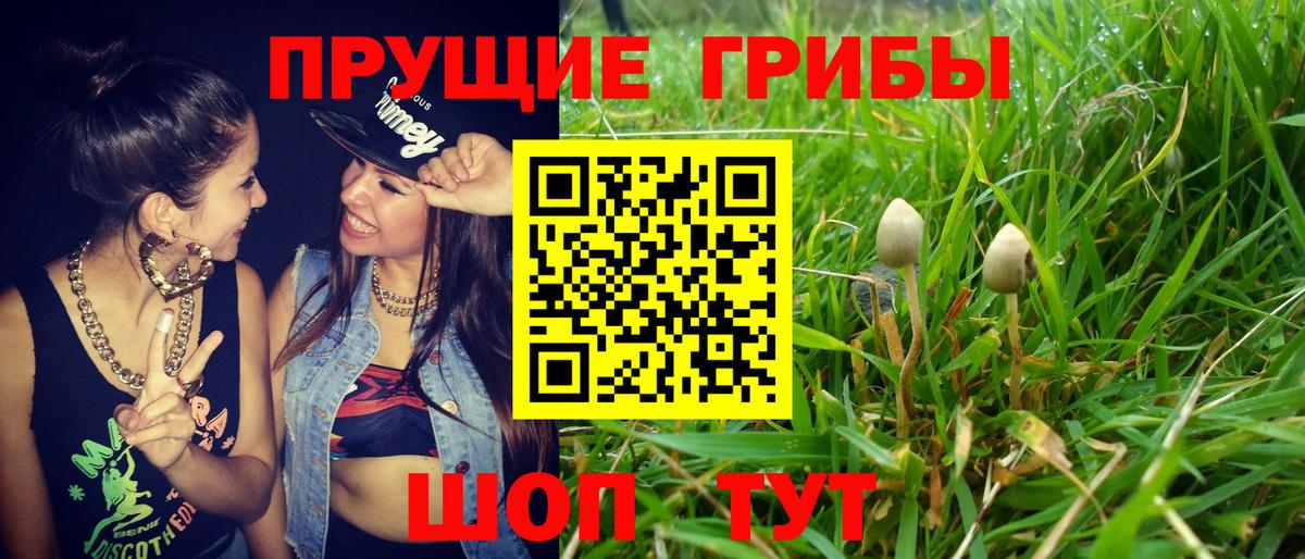 Псилоцибиновые грибы ЛСД  Серпухов 