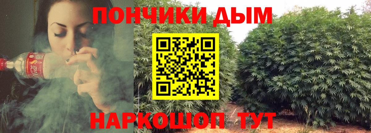 Бошки марихуана Ganja  Серпухов  Бошки марихуана AK-47  Конопля гибрид 